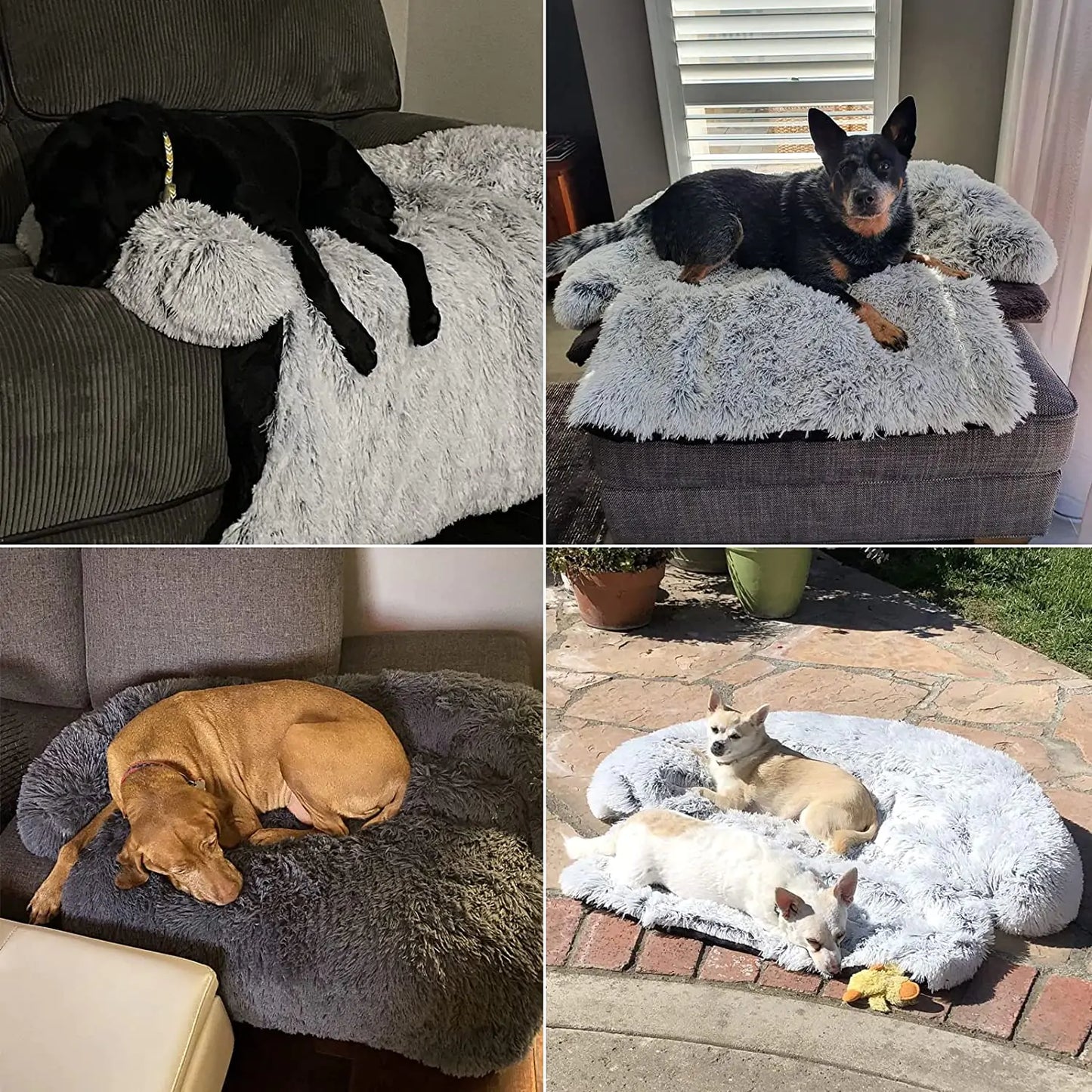 Dog Bed Cushion