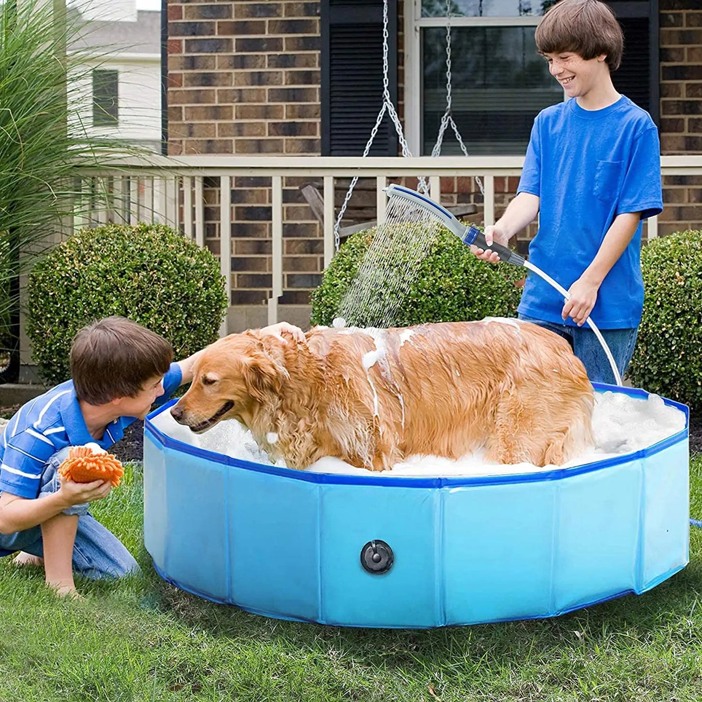 Dog Shower Sprayer